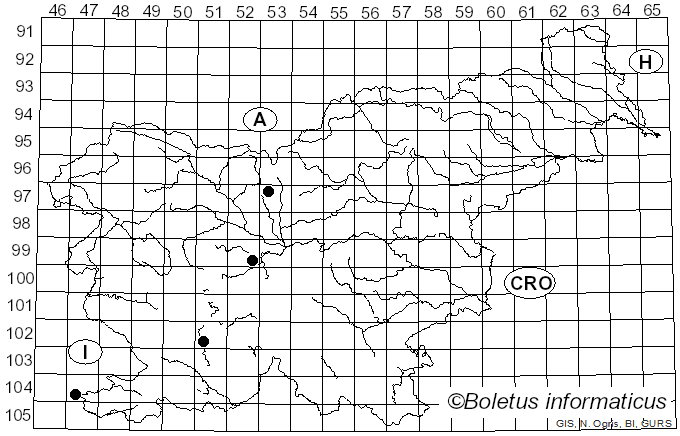 <i>Seiridium</i> Nees (1816)