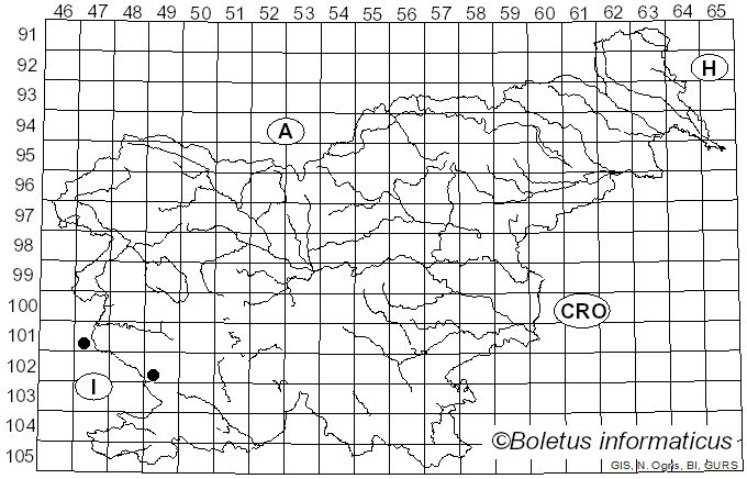 <i>Hygrophorus leucophaeo-ilicis</i> Bon & Chevassut (1985)