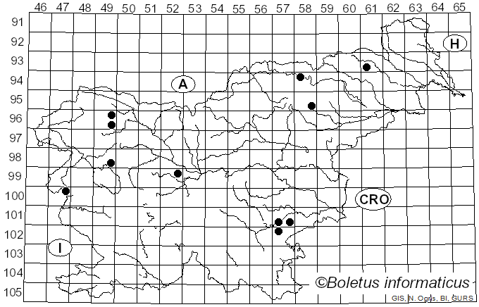 <i>Tephrocybe anthracophila</i> (Lasch) P.D. Orton (1969)