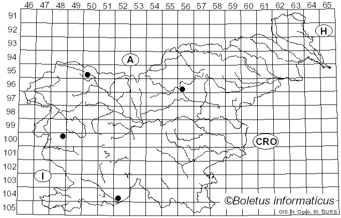 <i>Crepidotus malachius</i> Sacc. (1887)