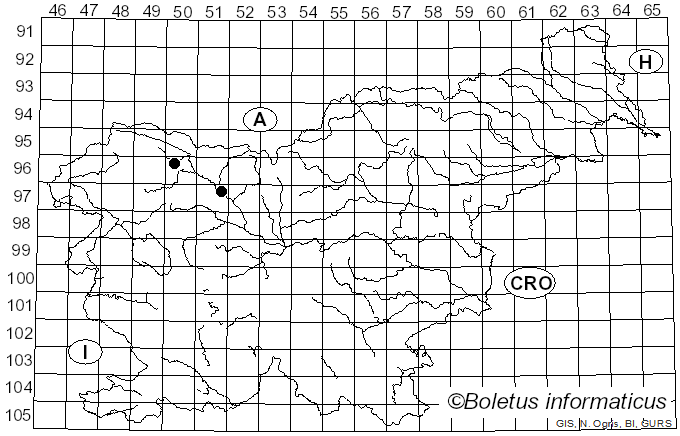 <i>Gloiothele citrina</i> (Pers.) Ginns & G.W. Freeman (1994)