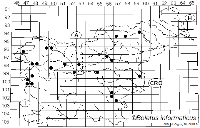<i>Melanophyllum</i> Velen. (1921)