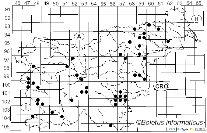 <i>Calonarius callochrous</i> (Pers.) Niskanen & Liimat. (2022)