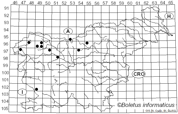 <i>Cudonia circinans</i> (Pers.) Fr. (1849)