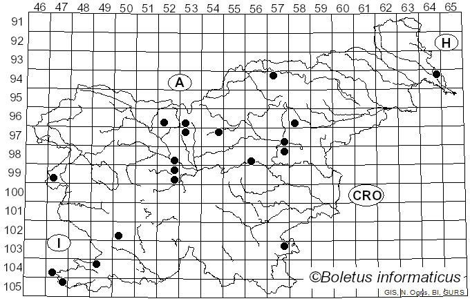 <i>Ectoedemia</i>