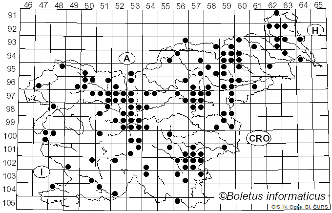 <i>Coprinopsis atramentaria</i> (Bull.) Redhead, Vilgalys & Moncalvo (2001)