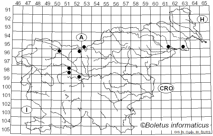 <i>Rhodonia</i> Niemelä (2005)