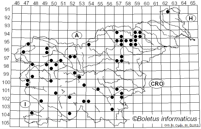 <i>Cortinarius subvalidus</i> Rob. Henry (1958)
