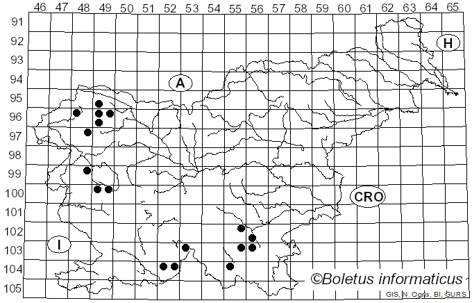 <i>Peltigera hymenina</i> (Ach.) Delise ex Duby (1830)