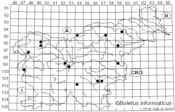 <i>Mycena rubromarginata</i> (Fr.) P. Kumm. (1871)