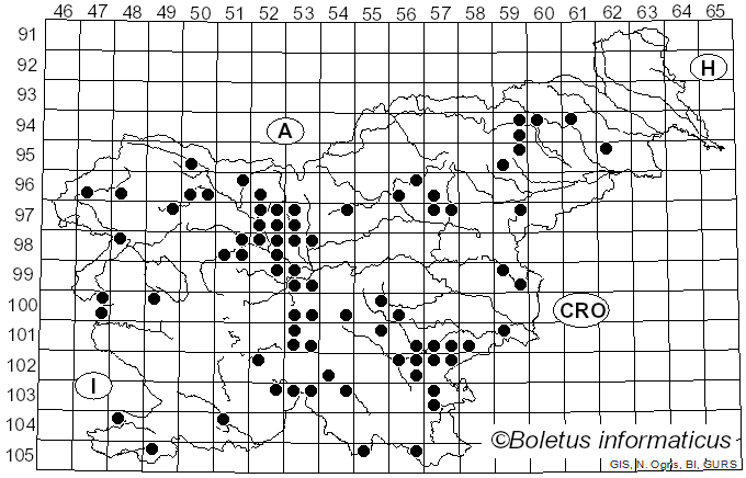 <i>Pseudoclitocybe cyathiformis</i> (Bull.) Singer (1956)