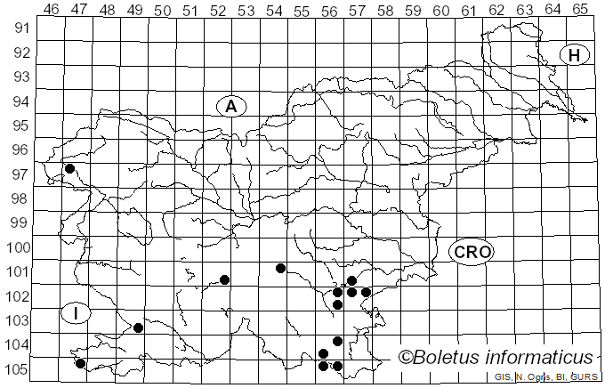 <i>Butyriboletus roseogriseus</i> (Šutara, M. Graca, M. Kolařík, Janda & Kříž) Vizzini & Gelardi (2014)