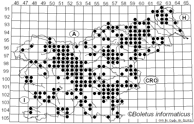 <i>Amanita citrina</i> Pers. (1797)