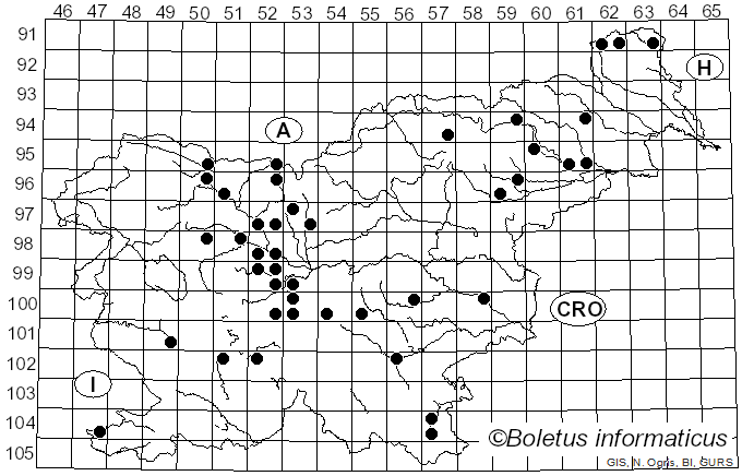 <i>Ustilago</i> (Pers.) Roussel (1806)