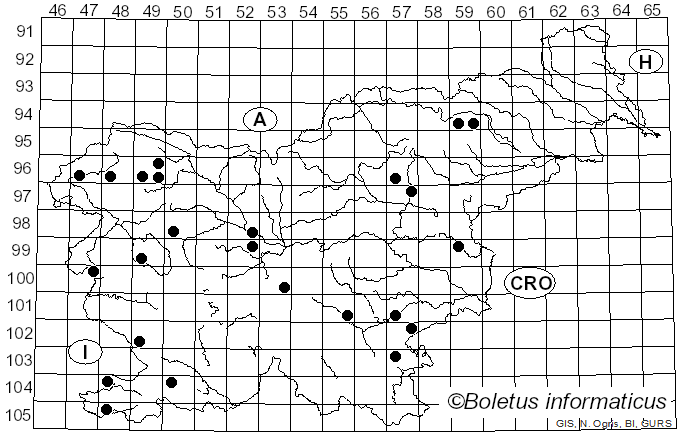 <i>Entoloma serrulatum</i> (Pers.) Hesler (1967)