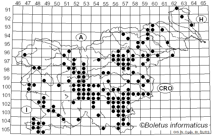 <i>Suillellus queletii</i> (Schulzer) Vizzini, Simonini & Gelardi (2014)