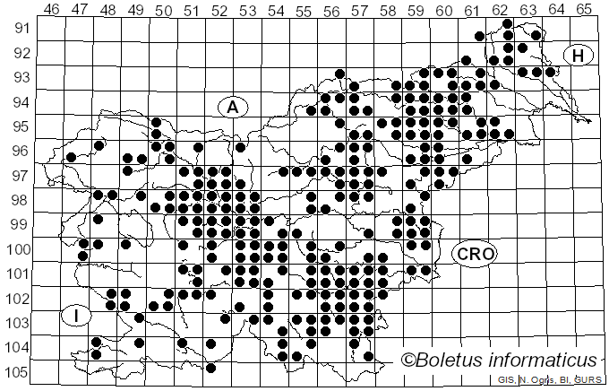<i>Oudemansiella</i> Speg. (1881)