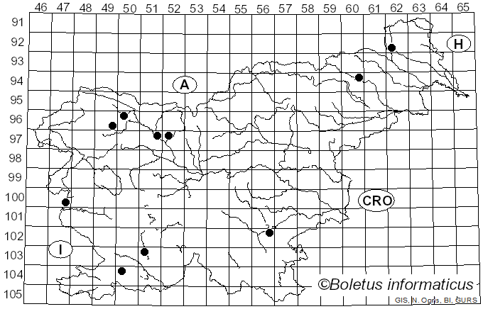 <i>Leucogyrophana</i> Pouzar (1958)