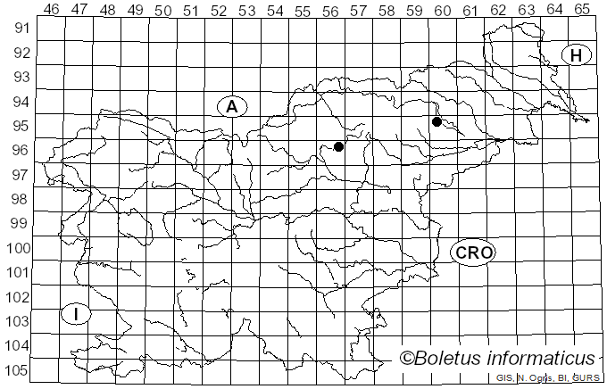 <i>Cortinarius pallidipes</i> (M.M. Moser) Nezdojm. (1983)