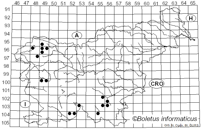<i>Peltigera hymenina</i> (Ach.) Delise ex Duby (1830)
