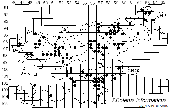 <i>Thelephora terrestris</i> Ehrh. (1787)