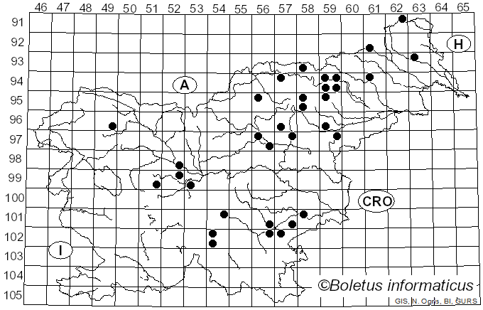 <i>Hydnellum scrobiculatum</i> (Fr.) P. Karst. (1880)