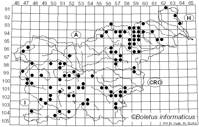 <i>Thaxterogaster purpurascens</i> (Fr.) Niskanen & Liimat. (2022)