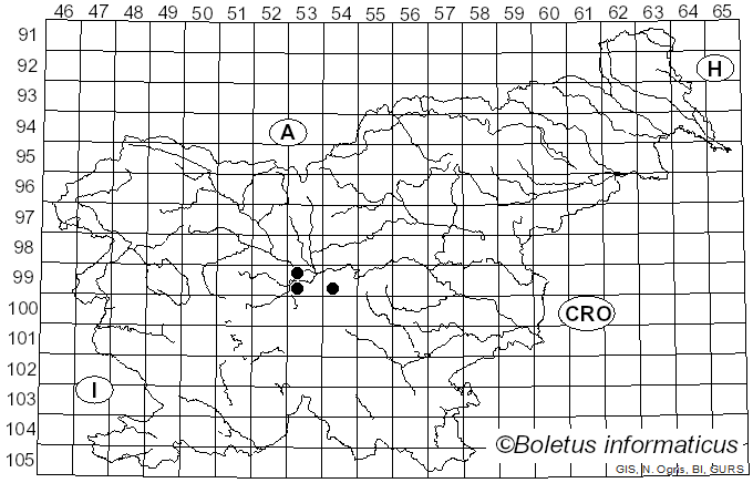 <i>Onygena corvina</i> Alb. & Schwein. (1805)