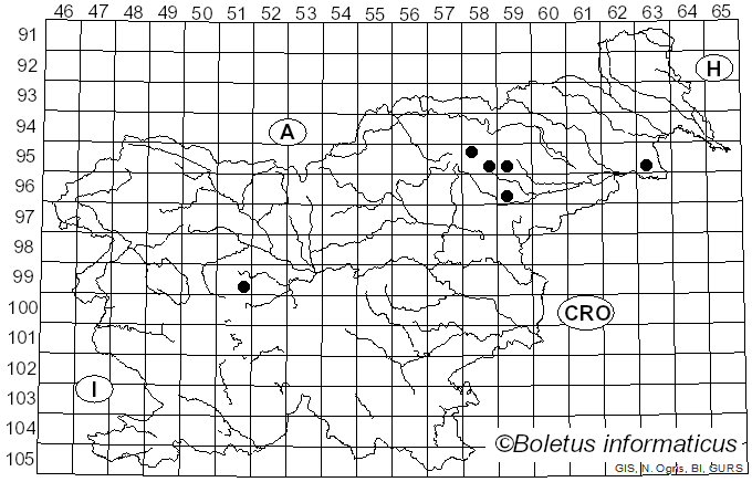 <i>Hydnotrya tulasnei</i> Berk. & Broome (1846)