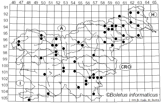 <i>Picipes</i> Zmitr. & Kovalenko (2016)