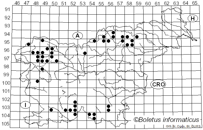 <i>Lecanora intumescens</i> (Rebent.) Rabenh. (1845)