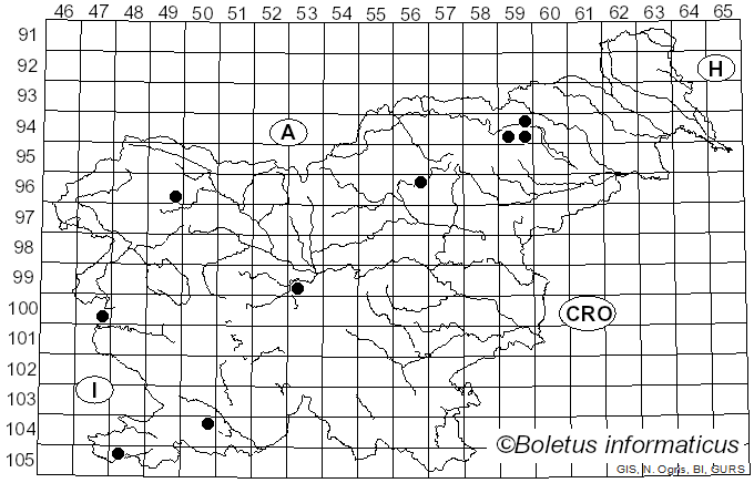 <i>Phloeomana hiemalis</i> (Osbeck) Redhead (2016)