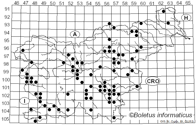 <i>Butyriboletus fuscoroseus</i> (Smotl.) Vizzini & Gelardi (2014)
