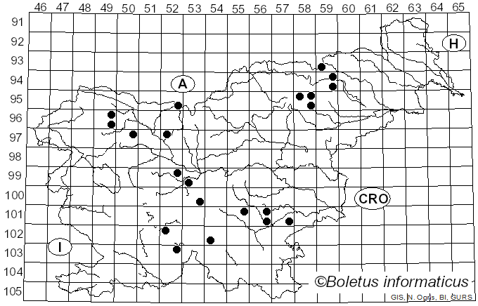 <i>Clavariadelphus ligula</i> (Schaeff.) Donk (1933)