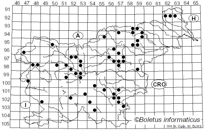 <i>Cantharellus tubaeformis</i> var. <i>lutescens</i> J.E. Lange (1940)