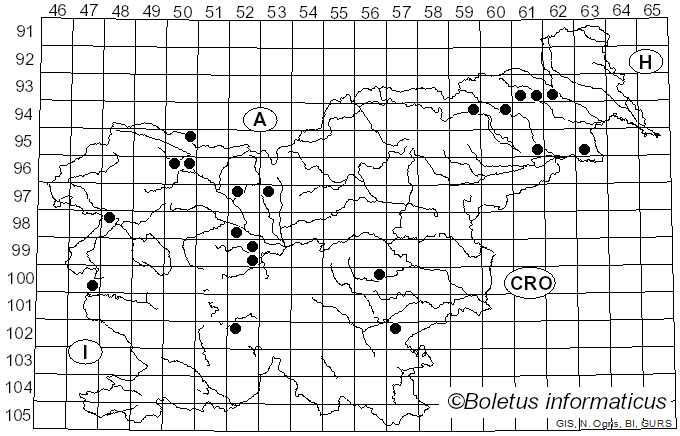 <i>Melogramma</i> Fr. (1849)