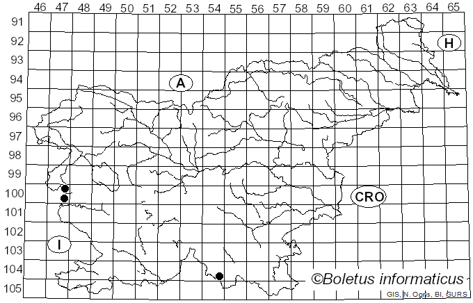 <i>Cystolepiota adulterina</i> (F.H. Møller) Bon (1976)