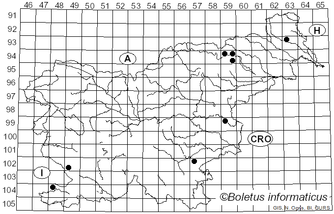 <i>Agaricus altipes</i> (F.H. Møller) F.H. Møller (1951)