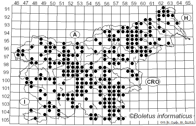 <i>Trametes hirsuta</i> (Wulfen) Lloyd (1924)