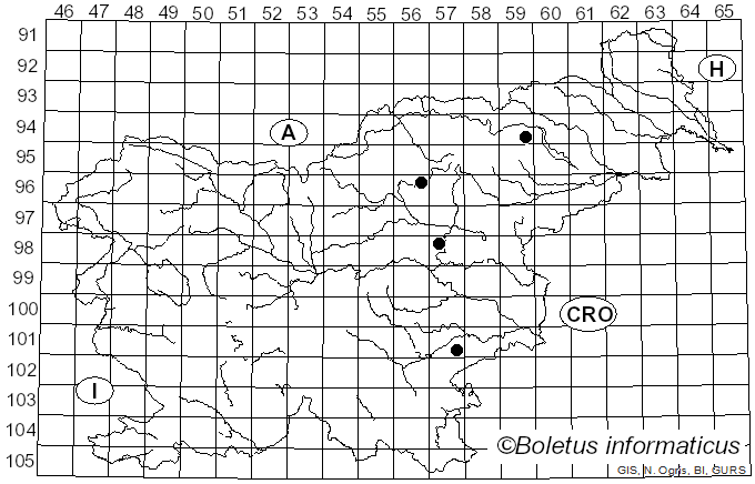 <i>Russula fragilis</i> var. <i>fallax</i>