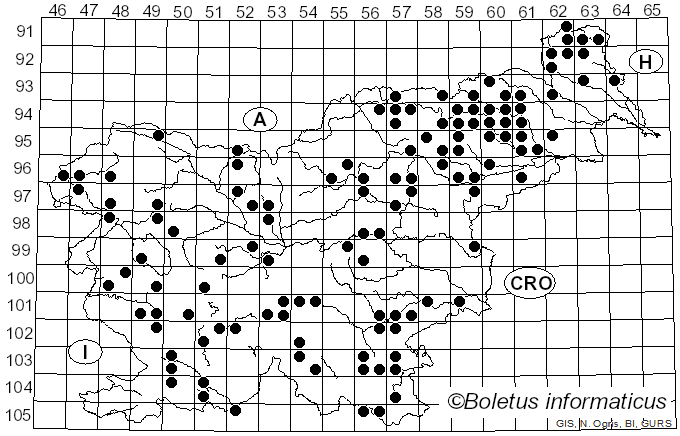 <i>Trametes ochracea</i> (Pers.) Gilb. & Ryvarden (1987)