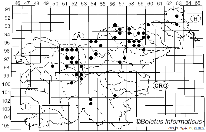 <i>Porphyrellus porphyrosporus</i> (Fr. & Hök) E.-J. Gilbert (1931)