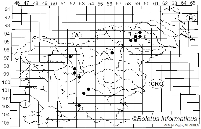 <i>Inocybe sambucina</i> (Fr.) Quél. (1872)