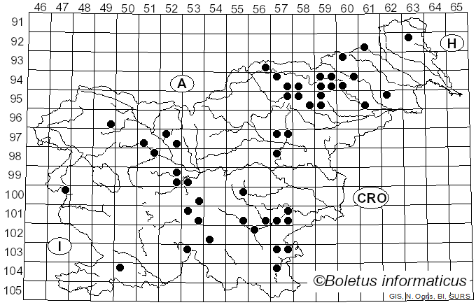 <i>Phaeocollybia</i> R. Heim (1931)