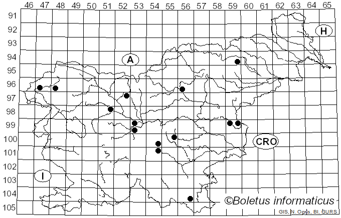 <i>Pseudoclitocybe expallens</i> (Pers.) M.M. Moser (1967)