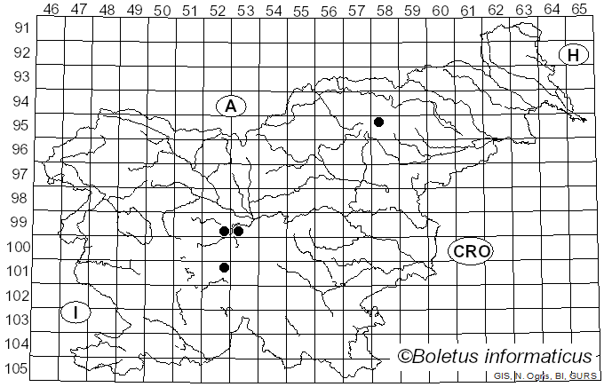 <i>Inocybe sapinea</i> Velen. (1939)