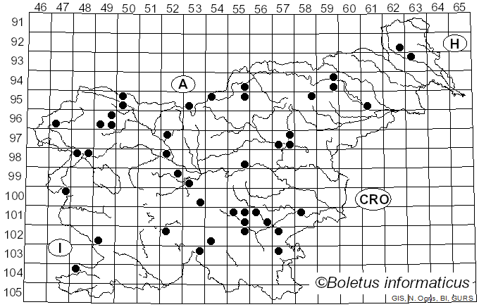 <i>Amanita umbrinolutea</i> (Secr. ex Gillet) Bertill. (1910)