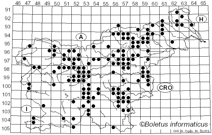 <i>Laeticutis cristata</i> (Schaeff.) Audet (2010)