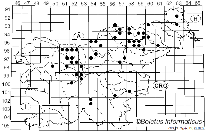 <i>Porphyrellus</i> E.-J. Gilbert (1931)