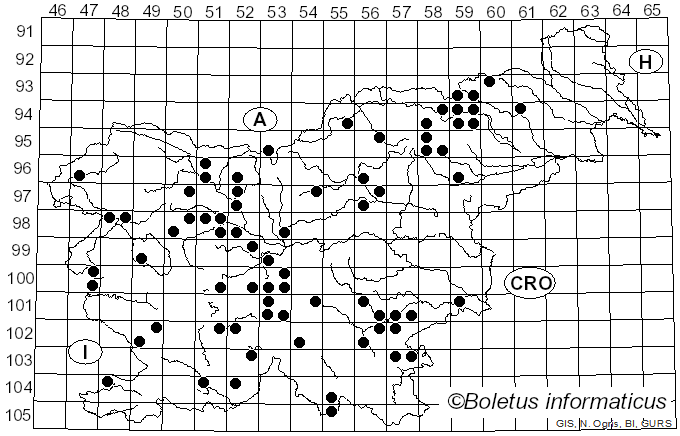 <i>Tricholoma bufonium</i> (Pers.) Gillet (1874)